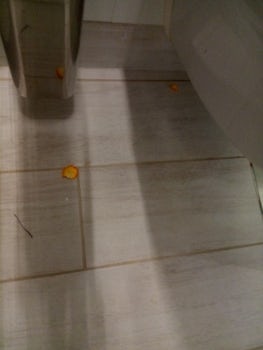 food left on the floor in bathroom upon arrival