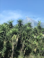Smoking Volcano, Guatemala