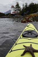 Kayaking the Sitka Sound, found a Sea Star (learned they are no longer call