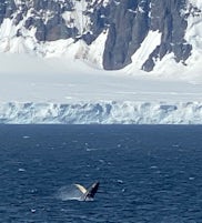 Antarctic Peninsular