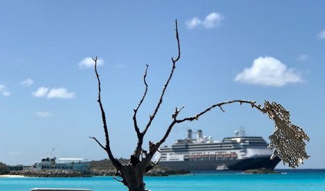 View of the Nieuw Amsterdam from the beach on Half Moon Cay
