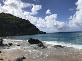 Picture of Shell Beach in St Barts!