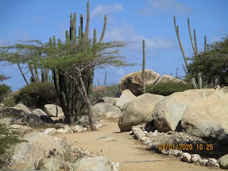 Casibari boulders and cacti,  Aruba