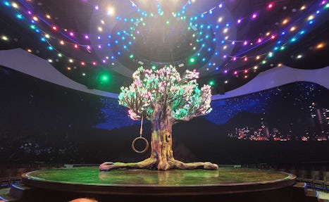 Tree of Life before the show began