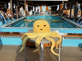 Pool deck towel animal fun