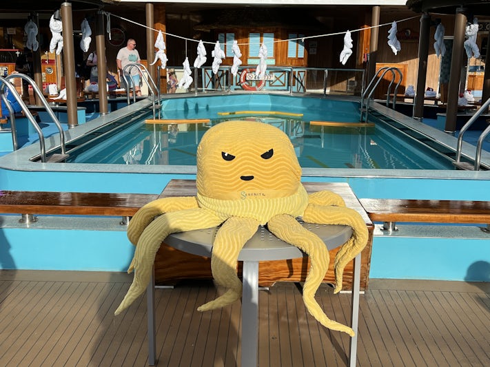 Pool deck towel animal fun