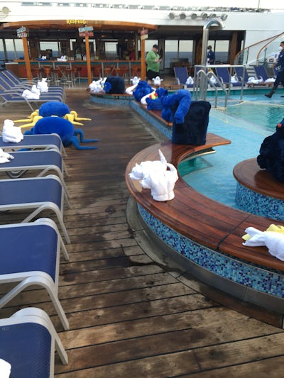 We woke up to the entire Lido deck front & back covered in towel animals of every kind large & small. 