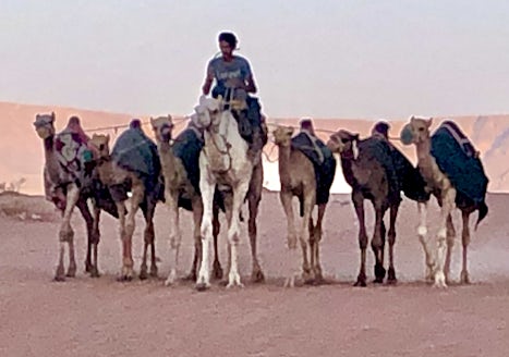 From Wadi Rum Desert