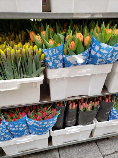 Tulips for sale at open air market in Linz, Austria