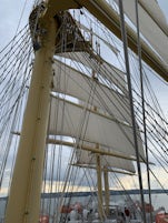 The sails