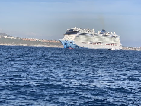 Taken from our tender returning the NCL Bliss from Cabo San Lucas.