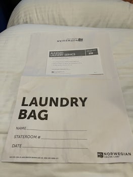 Laundry bag $29 middle of week