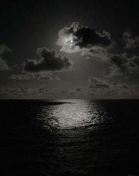 Caribbean moonlight. 