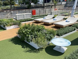 Part of the sundeck and herb garden on the Ragrid.