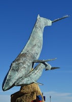 The whales monument in Loreto