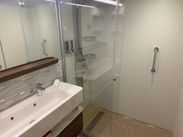 Pic of the Shower and sink