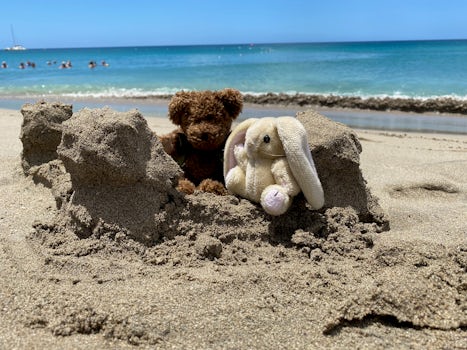 Our grandchildren sent two of their stuffed animals to travel with us. They had a wonderful time everywhere we went. The beach was a favorite!