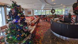 The lounge all decked out for Christmas