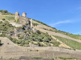 Rhine castle