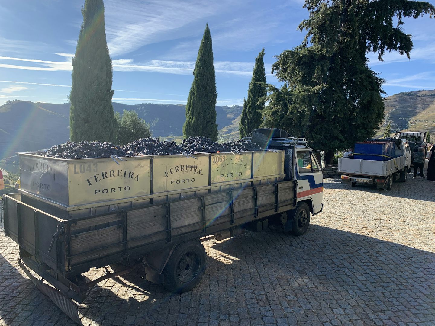 A visit to a port wine facility.  Small vineyard owners truck their produce from far and wide.