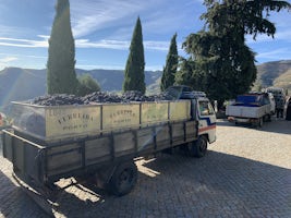 A visit to a port wine facility.  Small vineyard owners truck their produce from far and wide.