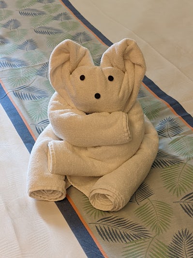 We had a towel critter waiting for us each day.  I particularly liked this little Koala.