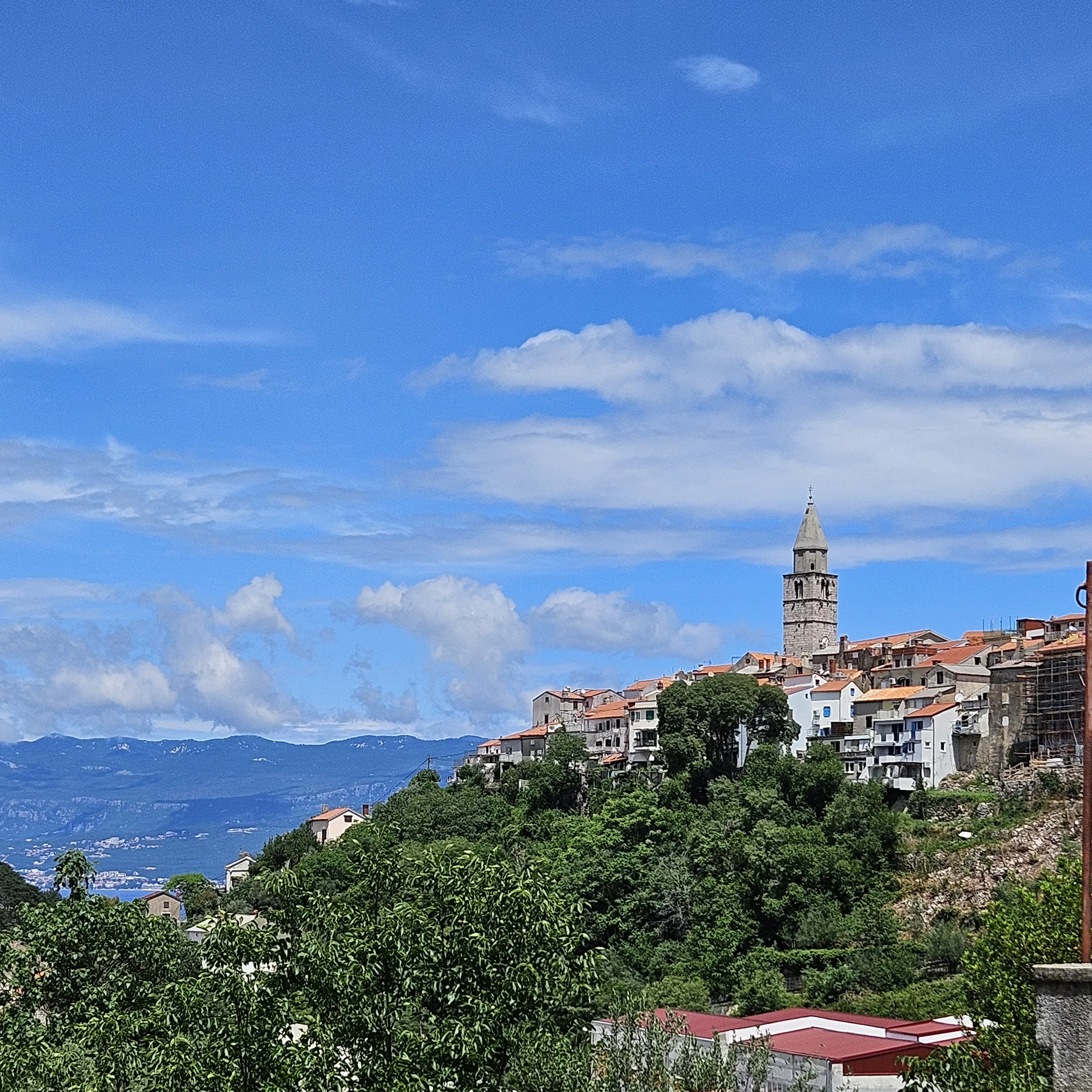Sirena Cruise Reviews | Ratings & Insights from Members