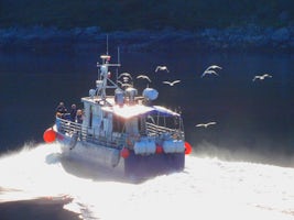 This is the boat used for the Sea Eagle Safari