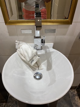 Towels left on sinks in public toilets 