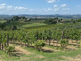 Tuscany, Italy (San Michele A Torri Winery)
