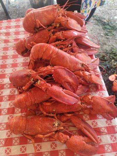 Our wonderful Lobster Bake. They took us to a Lobster bake complete with picnic tables, a band, and lobster boiling in seaweed at the edge of the water!! Just fabulous!
