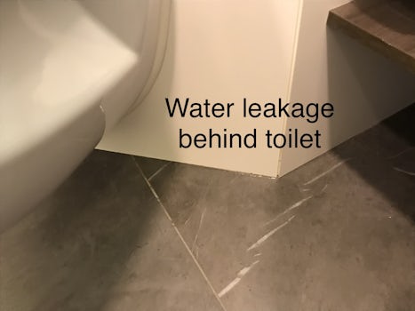 Water leaks
