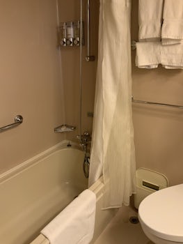 cabin bathroom tub/shower