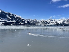 Hubbard Glacier - the highlight of the trip (IMO)