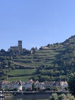Rhine River Gorge vineyards