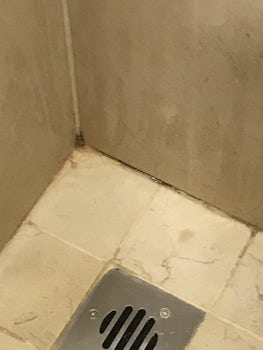 Shower cubicle could have done with a steam clean grout very dirty