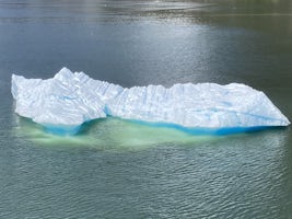 Tracy Arm Fjord icebergs 