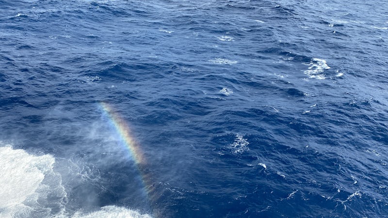 Coming back from Cozumel which was a blast. This rainbow showed up from the ship crashing the water with a little sunshine to add. The sea was nice to us leaving Cozumel.