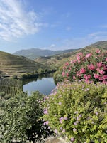The view from Quinta do Tedo