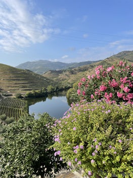 The view from Quinta do Tedo