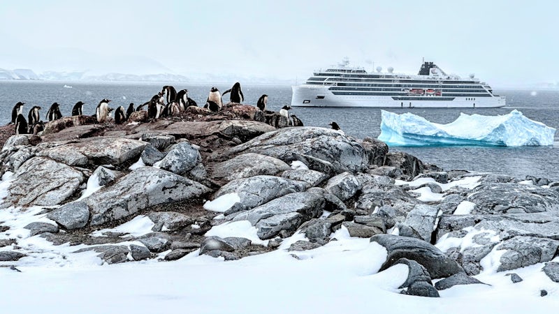 Ship overlooking penguins