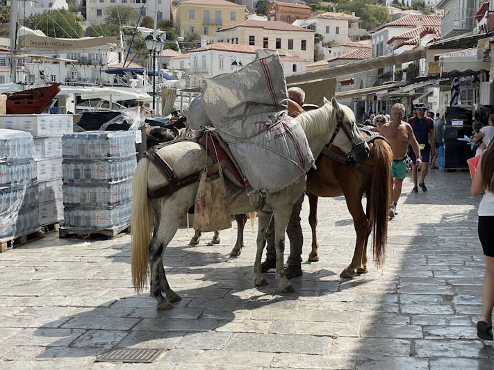The only transportation on Hydra.