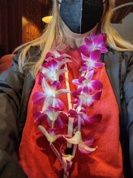 Beautiful purple lei I made from the orchids Princess cruise lines bought for us in Honolulu