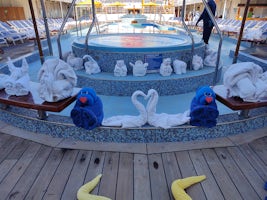 Last sail day, towel animals escaped and relaxed by the pool