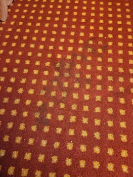 Nasty dirty carpet in our cabin