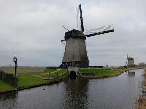 Paid excursion in Amsterdam -- Leisurely Dutch Countryside
