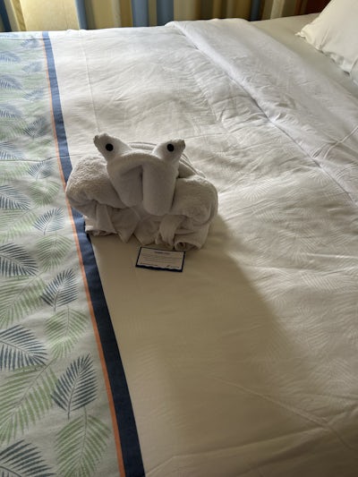 The cute towel animals left on our beds! So cute