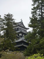 Matsue castle