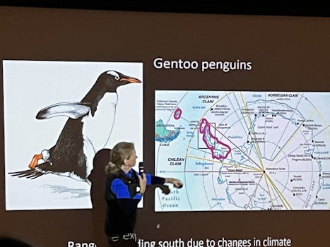 Penguin briefing