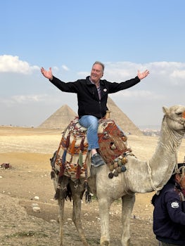 Camel at Great Pyramid